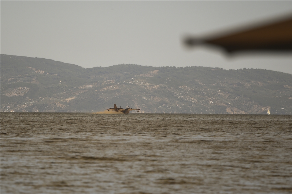 Wildfire in Evia island, Greece