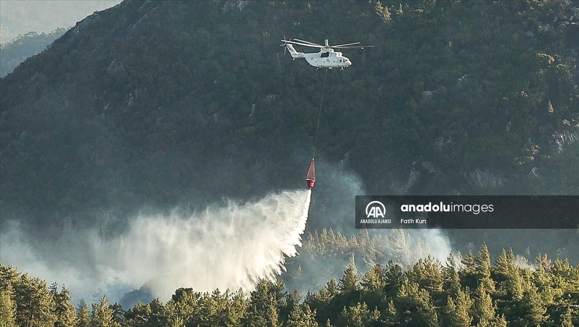 Muğla'da çıkan orman yangını kontrol altına alınmaya çalışılıyor