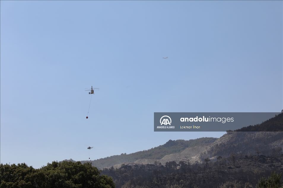 Aydın ve Muğla'daki orman yangınına uçak ve helikopterlerle müdahale ediliyor