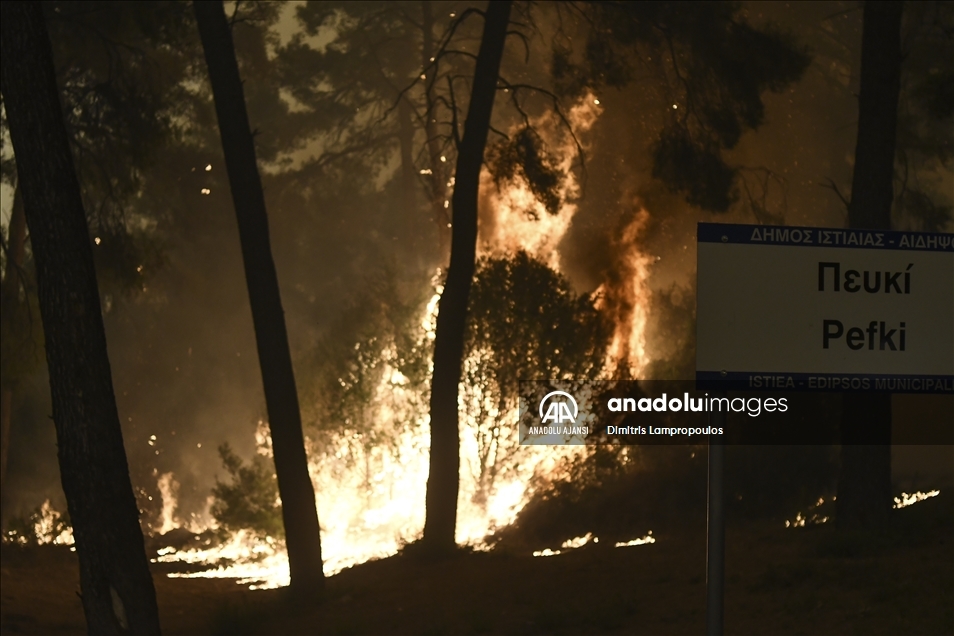 Yunanistan’da orman yangınlarıyla mücadele sürüyor