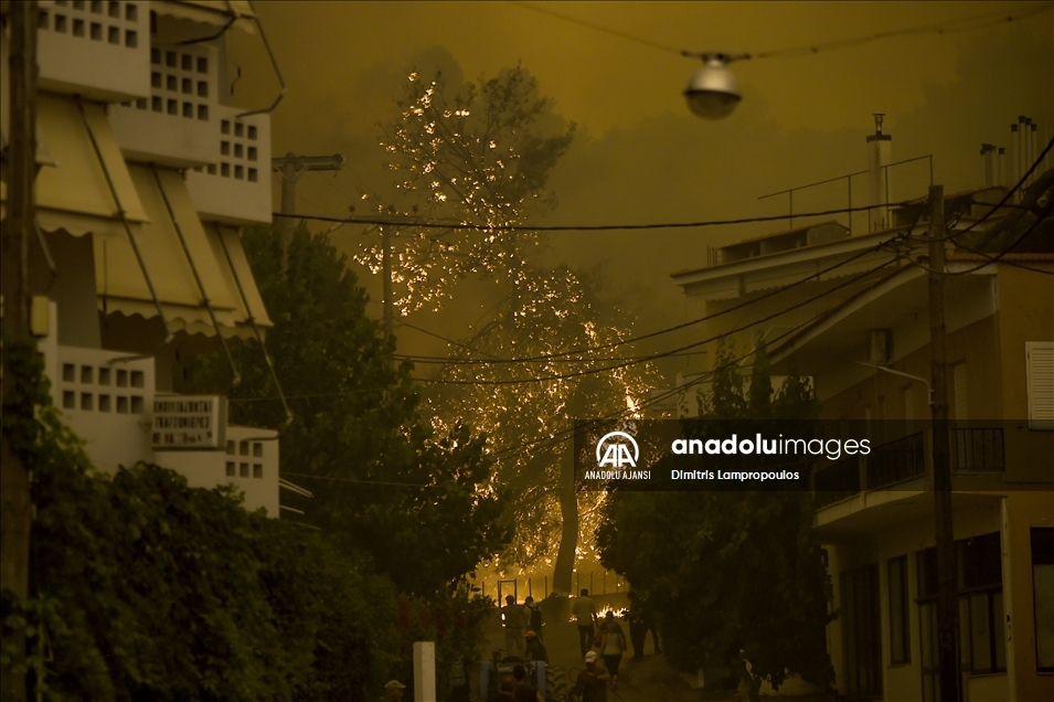 Yunanistan’da orman yangınlarıyla mücadele sürüyor