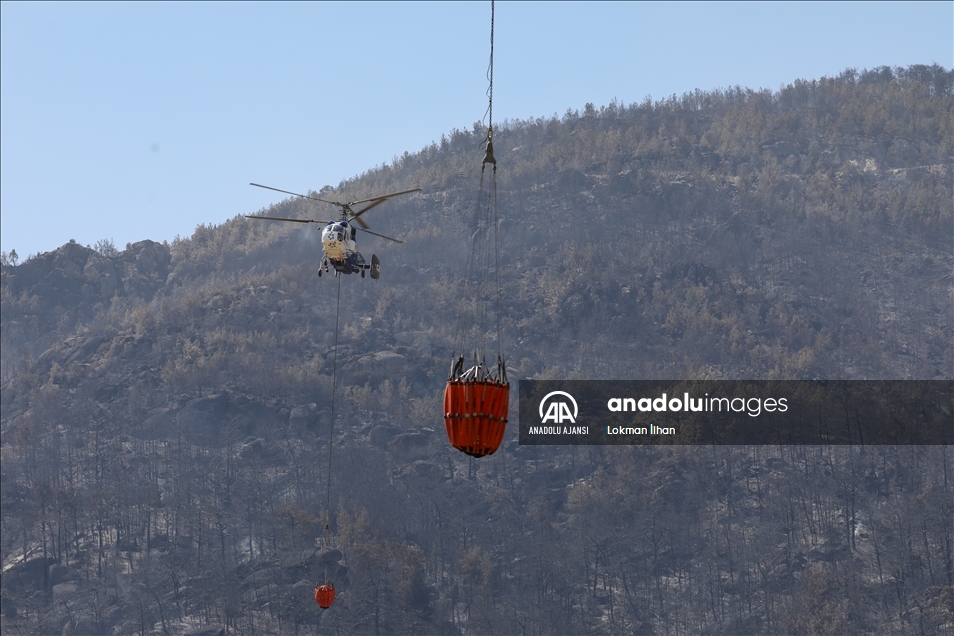 Aydın'daki orman yangınını söndürme çalışmaları sürüyor