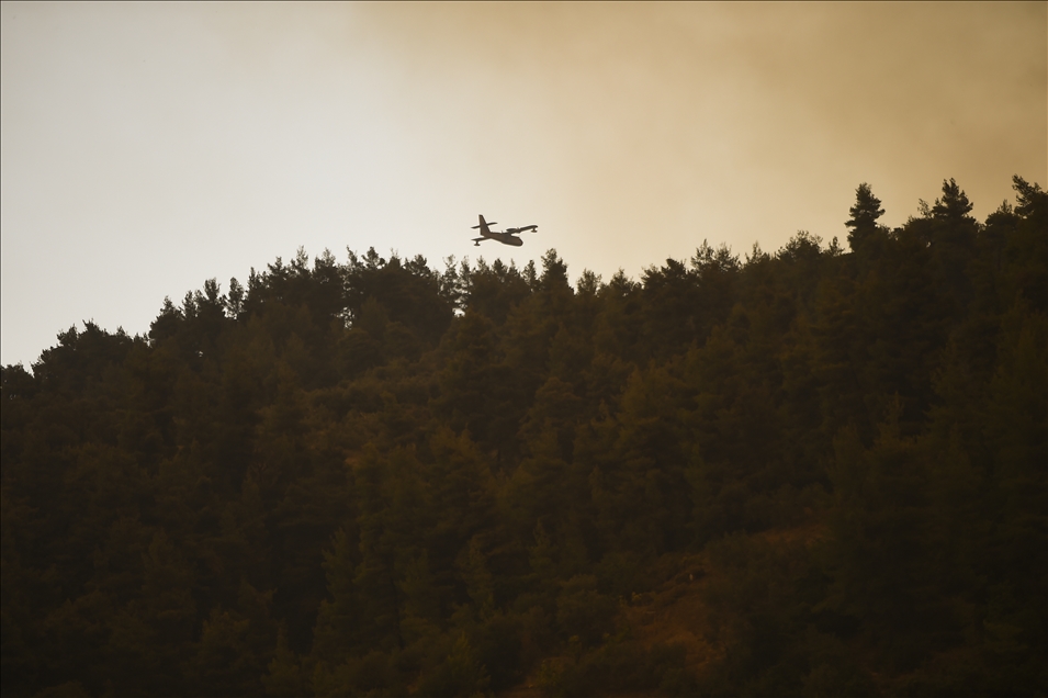 Wildfire in Evia island, Greece