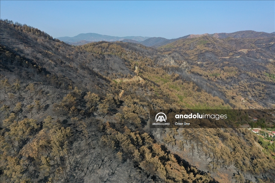 Marmaris'in önemli turizm bölgelerinden Kızkumu Plajı çevresinde yanan ormanlık alanlar havadan görüntülendi