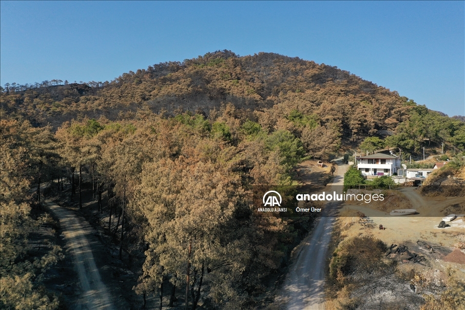 Marmaris'in önemli turizm bölgelerinden Kızkumu Plajı çevresinde yanan ormanlık alanlar havadan görüntülendi