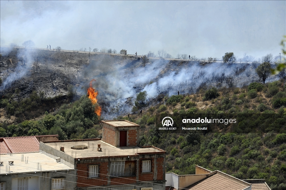 الجزائر.. ارتفاع عدد ضحايا حرائق الغابات إلى 65 قتيلًا