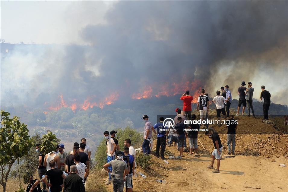 الجزائر.. ارتفاع عدد ضحايا حرائق الغابات إلى 65 قتيلًا