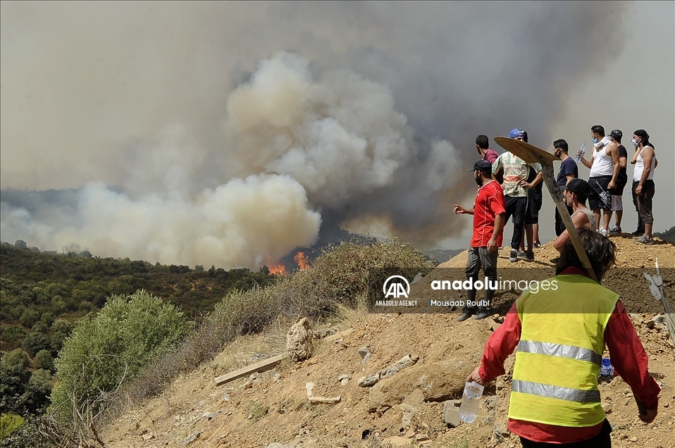 الجزائر.. ارتفاع عدد ضحايا حرائق الغابات إلى 65 قتيلًا