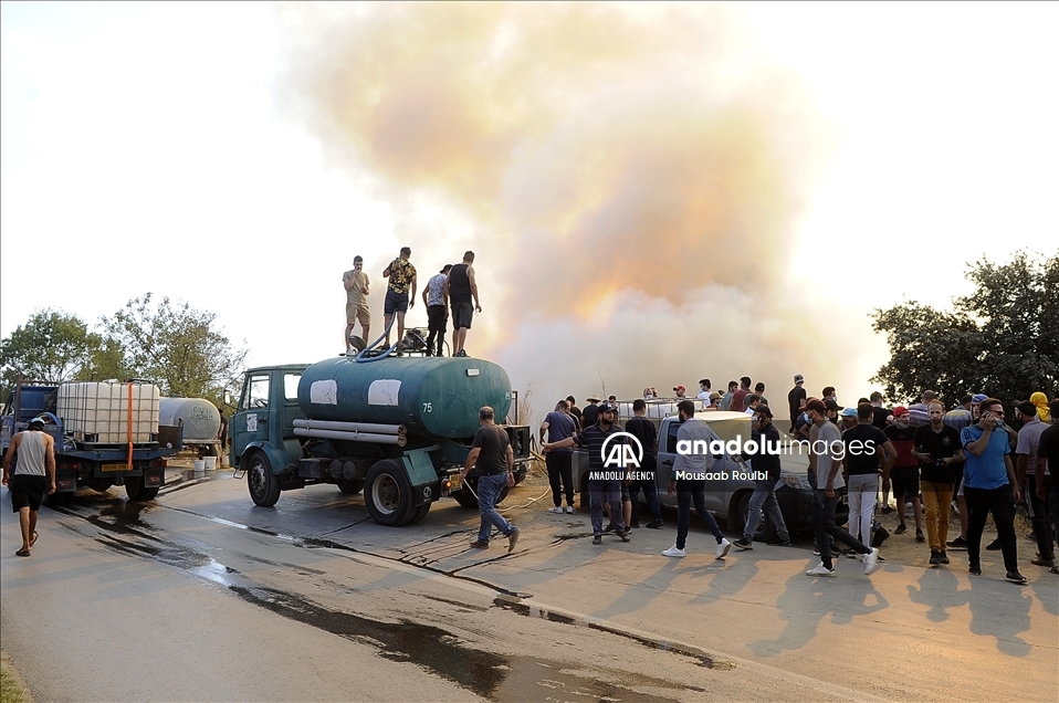 الجزائر.. ارتفاع عدد ضحايا حرائق الغابات إلى 65 قتيلًا