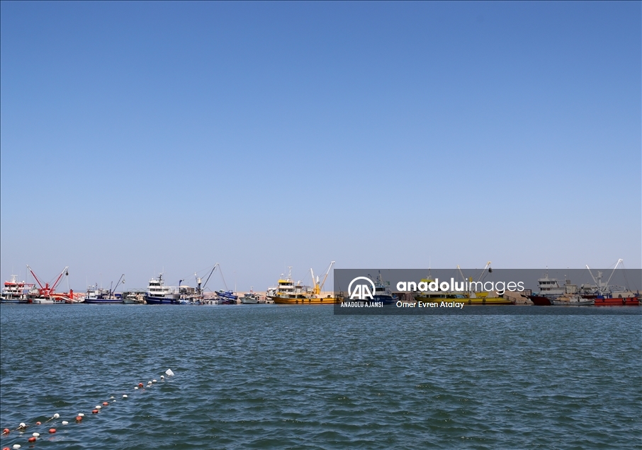 Egeli balıkçılar "vira bismillah" demeye hazırlanıyor