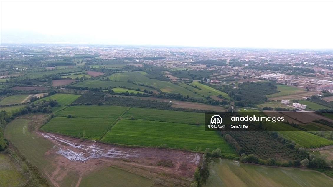 Düzce'deki tarım arazileri 49 yıldır Hasanlar Barajı'ndan sulanıyor