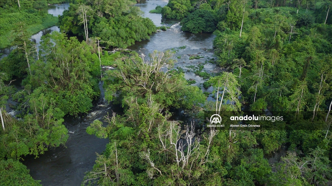 الوحيدة عالميا.. شلالات "لوبي" الكاميرون تغذي مياه الأطلسي