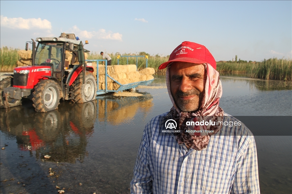 Adadaki saman balyalarını Beyşehir Gölü'nden "duba" aracılığıyla karşı kıyıya taşıyorlar