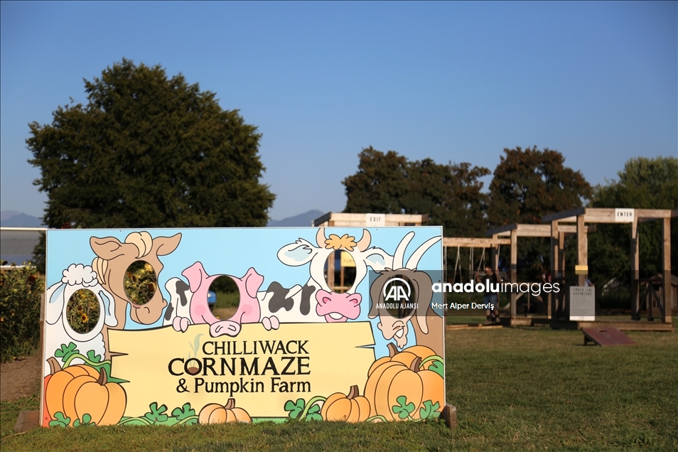 Chilliwack Corn Maze