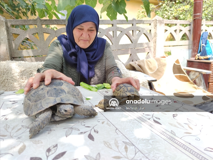 - Зекије Артут (71), која живее во гра