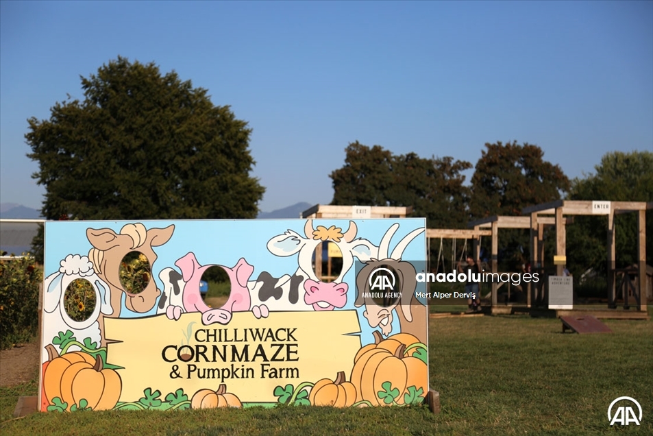 Chilliwack Corn Maze