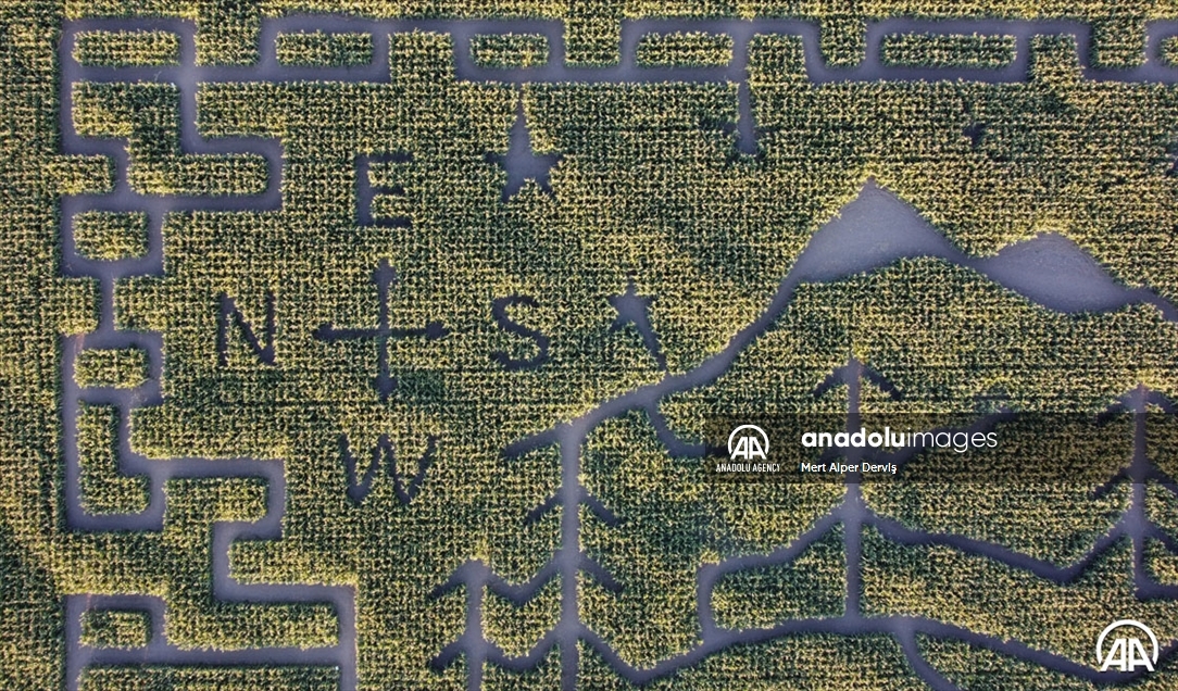 Chilliwack Corn Maze