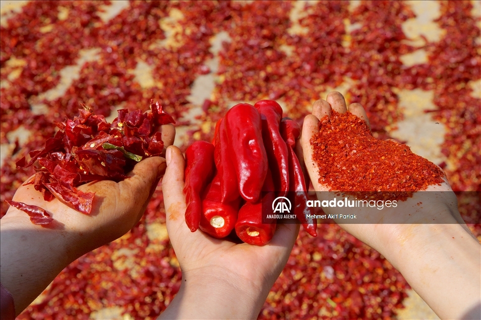 Red flake pepper processing in Gaziantep