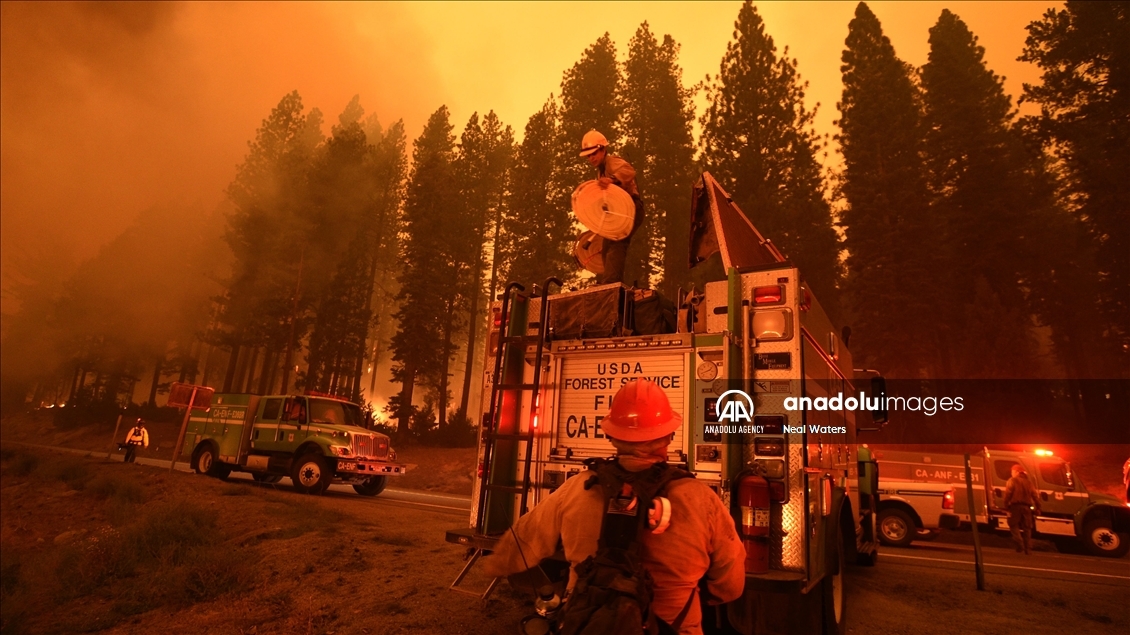 Kaliforniya eyaleti, orman yangınlarıyla mücadeleyi sürdürüyor