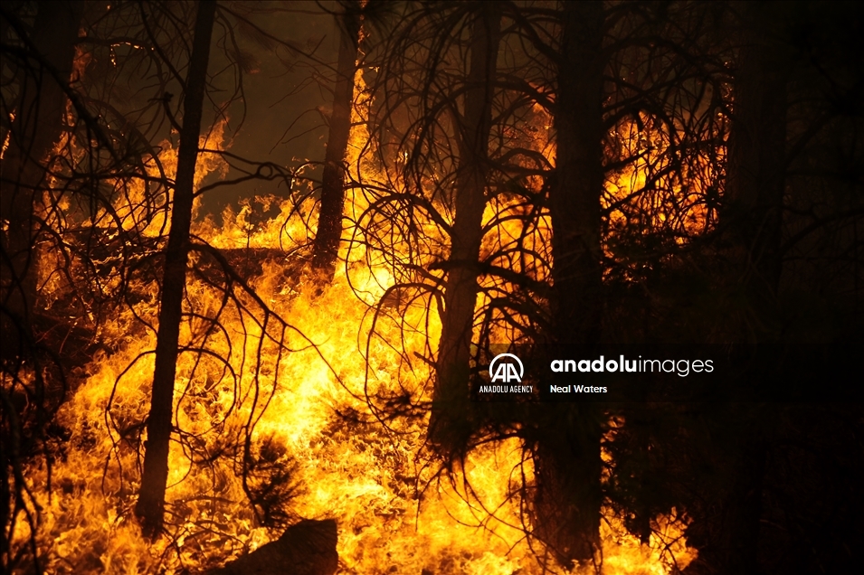 Kaliforniya eyaleti, orman yangınlarıyla mücadeleyi sürdürüyor