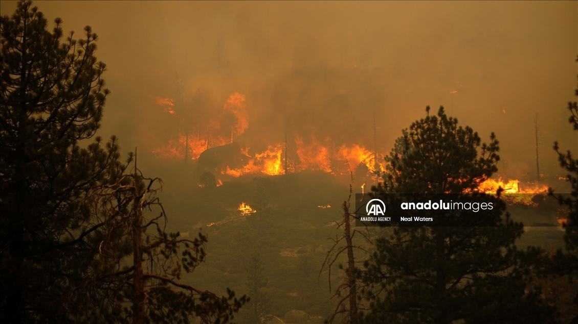 Caldor Fire moves towards the residential areas