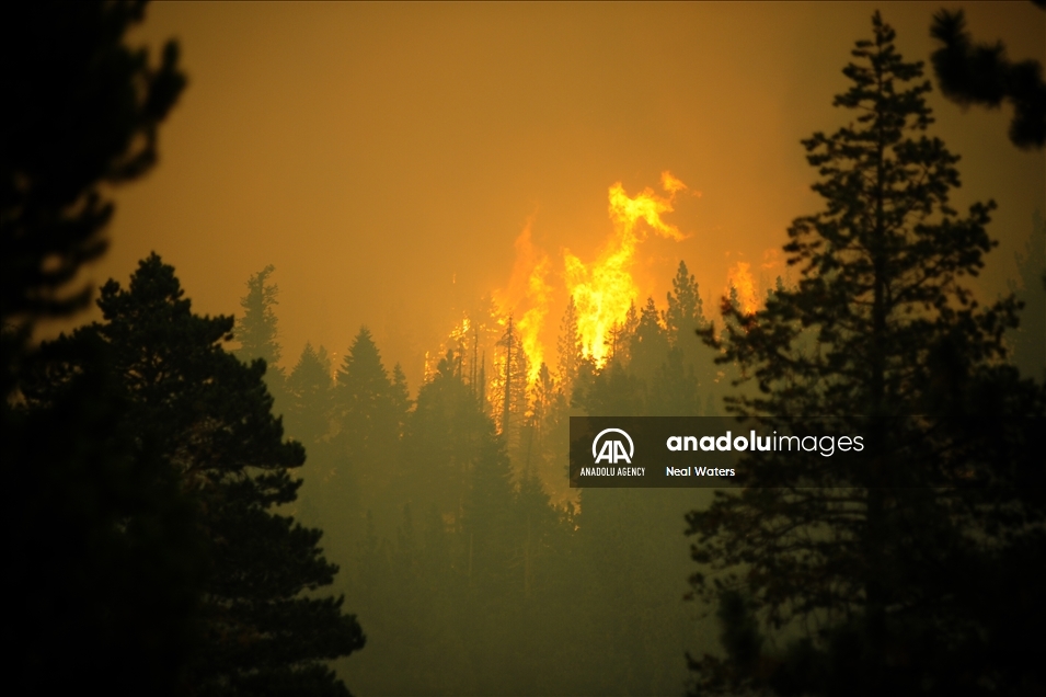 Caldor Fire moves towards the residential areas