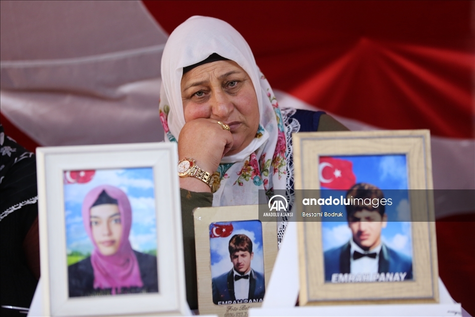 Diyarbakır annelerinin evlat nöbeti 3'üncü yılında