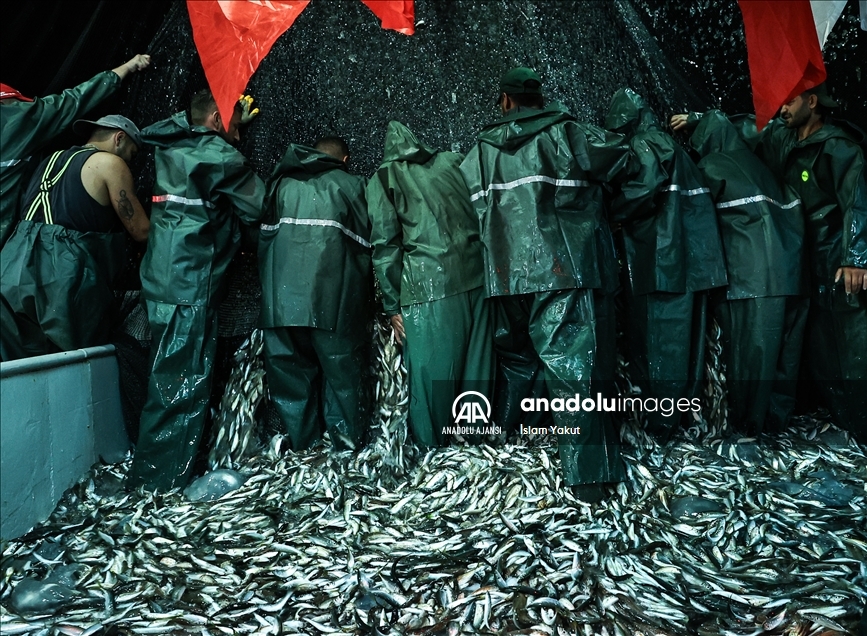 İstanbul'da balıkçılar ilk ağlarını bereketiyle çekti