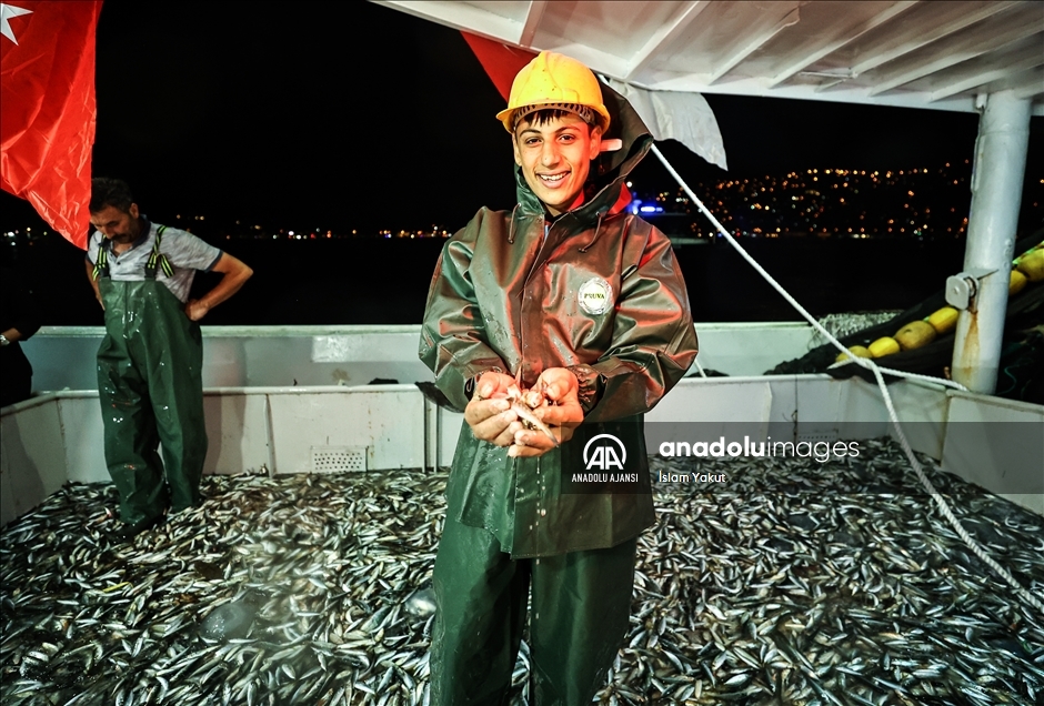İstanbul'da balıkçılar ilk ağlarını bereketiyle çekti