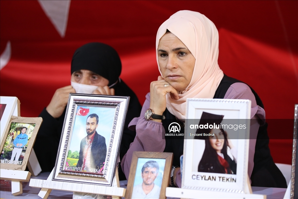 Diyarbakır annelerinin evlat nöbeti 3'üncü yılında