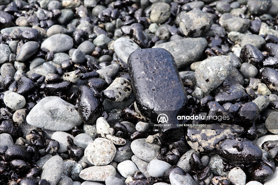 تركيا.. تواصل الجهود لتنظيف تسرب النفط السوري في هطاي