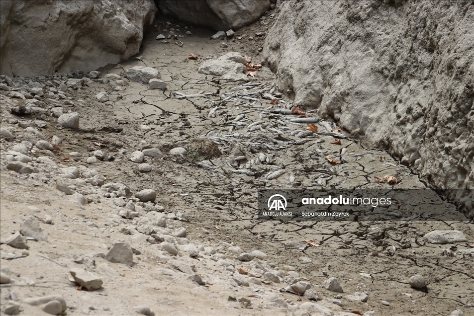 Büyük Menderes Nehri üzerindeki Kısık Kanyonunda sular çekildi