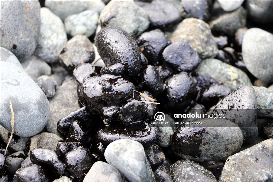 تركيا.. تواصل الجهود لتنظيف تسرب النفط السوري في هطاي