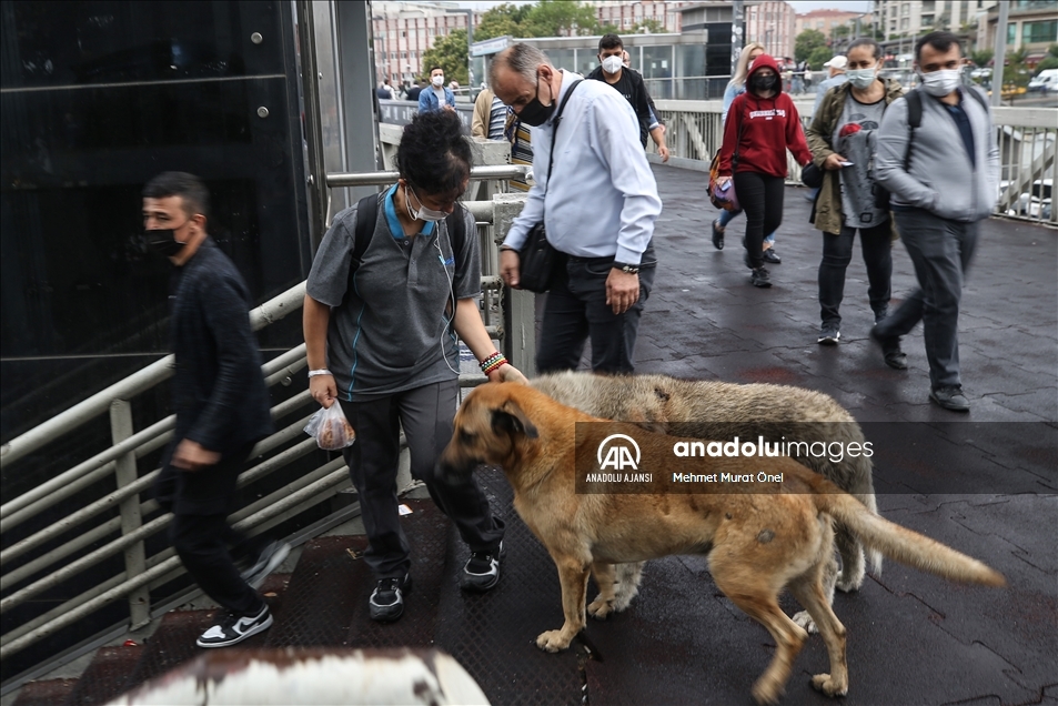 İstanbul'da sabah saatlerinde trafik yoğunluğu yaşanıyor