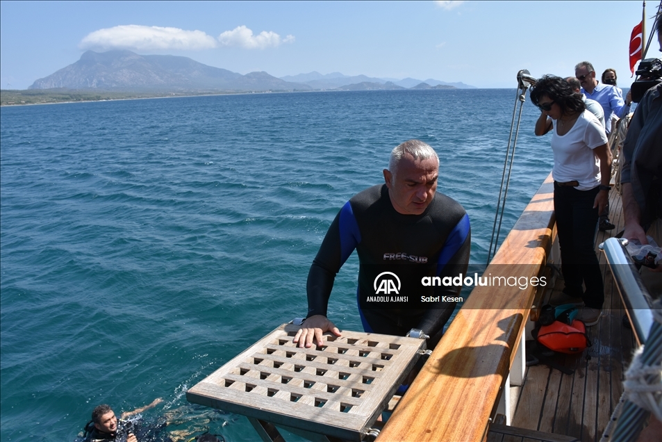 Kültür ve Turizm Bakanı Ersoy, Datça'da Osmanlı dönemi gemi batığına dalış yaptı