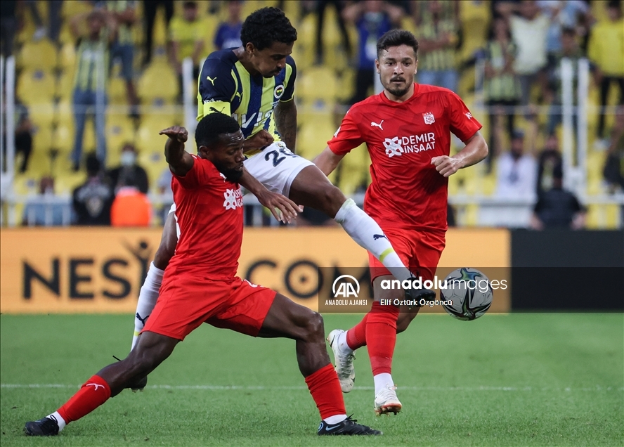 Fenerbahçe - Demir Grup Sivasspor