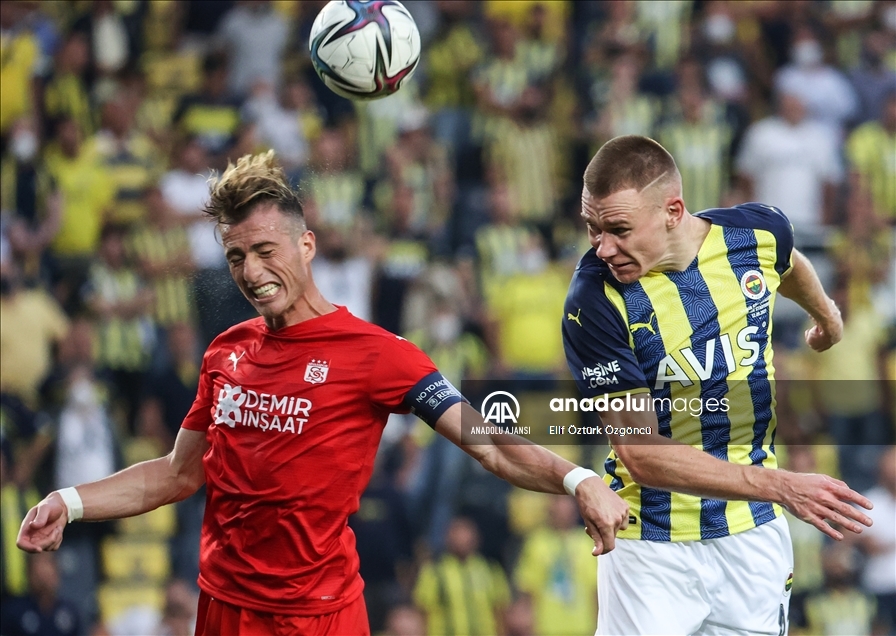 Fenerbahçe - Demir Grup Sivasspor