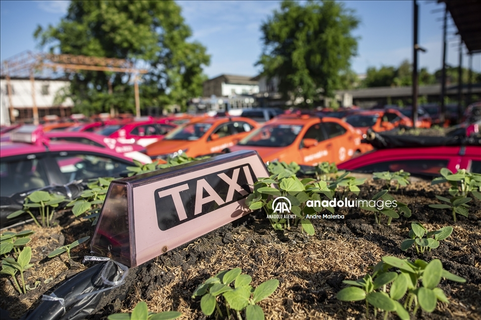 Unused Taxis Turned Community Garden
