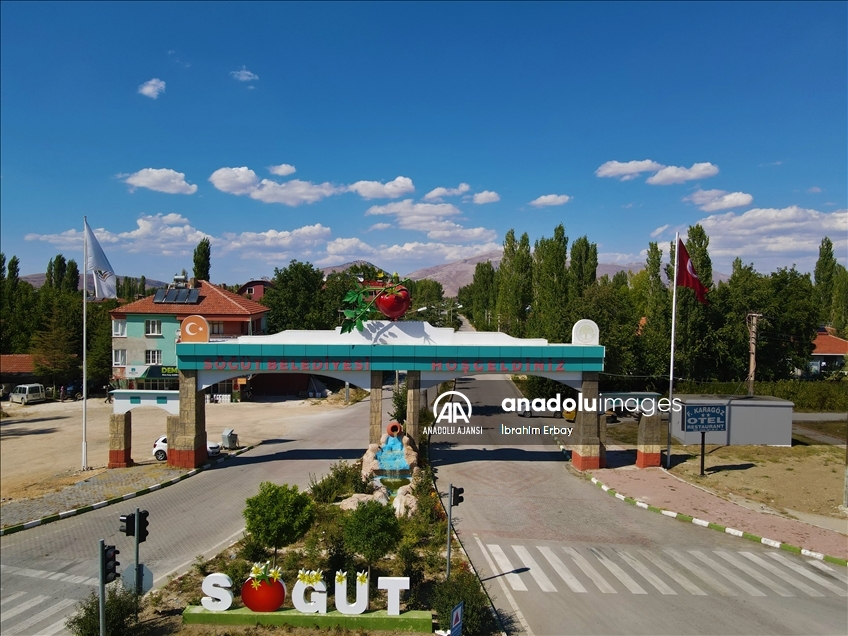 Dayanıklılığı ve lezzetiyle öne çıkan Söğüt domatesine talep artıyor
