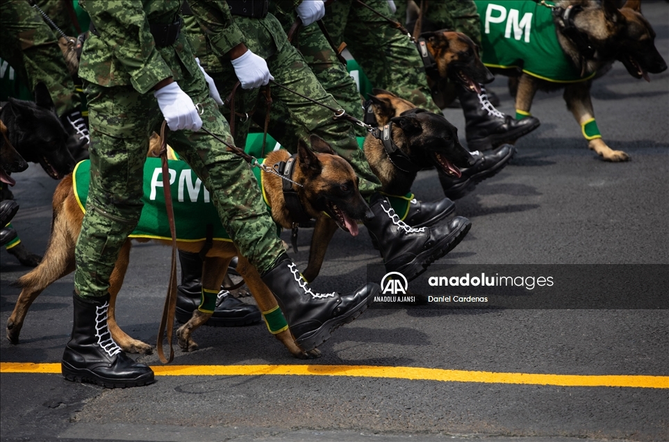 Mexico military parade