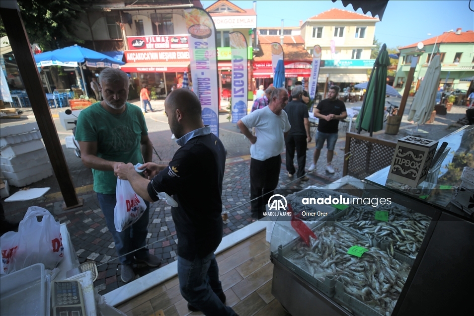 Düzce'de hamsinin kilogramı 20 liraya kadar düştü