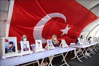 Necibe Çiftçi: Ez heta kurê xwe ji HDPyê nestînim, ez ê ji vir neçim