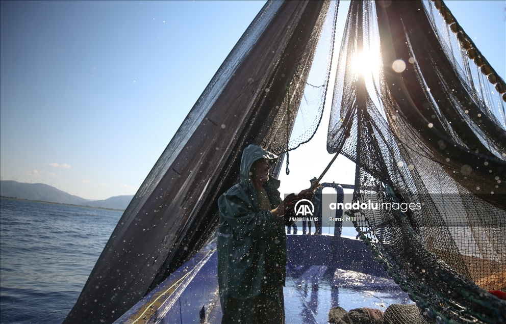 Hataylı balıkçıların Doğu Akdeniz'deki av mesaisi başladı