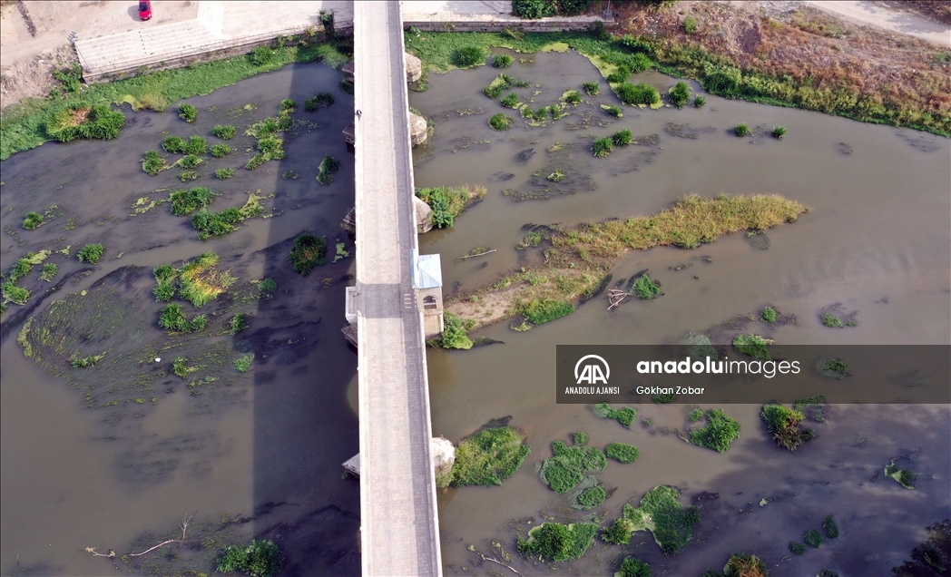 Kuraklık nedeniyle su seviyesi dibe vuran Tunca Nehri'nde ot öbekleri oluştu