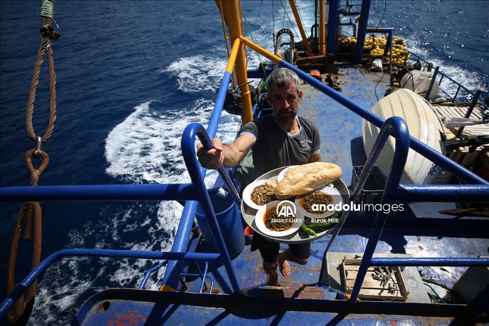 Hataylı balıkçıların Doğu Akdeniz'deki av mesaisi başladı