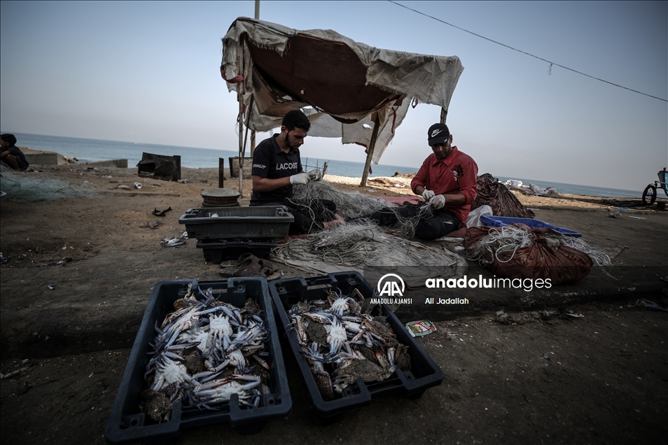 Istakoz, Gazzeli balıkçıların yüzünü güldürdü