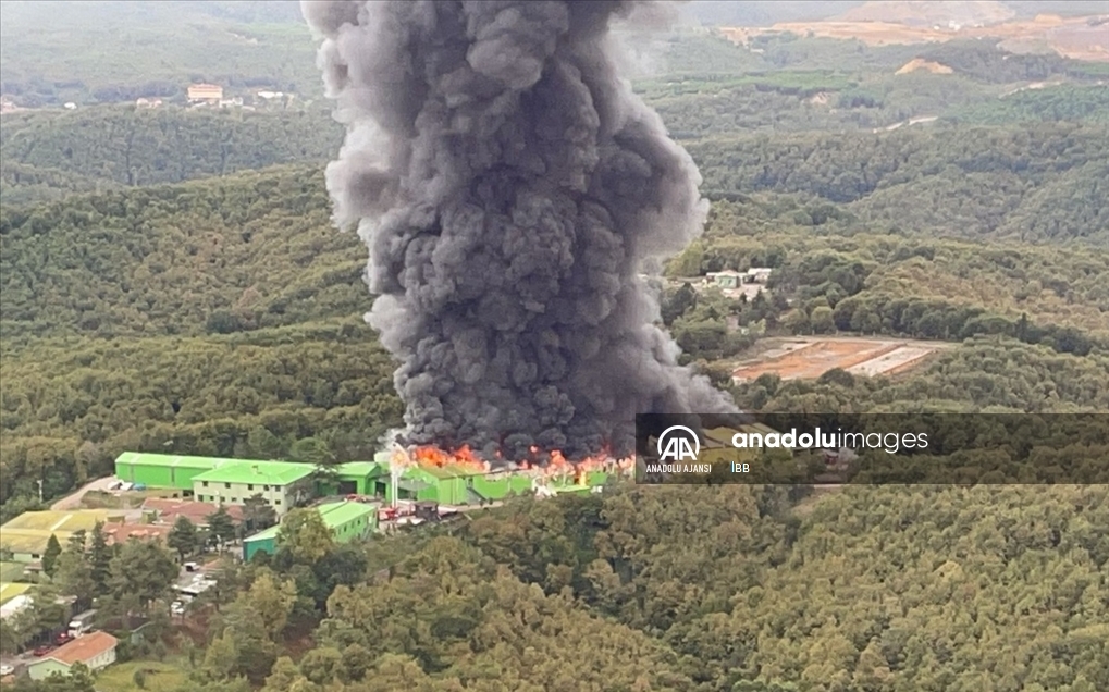 Şile'de fabrika yangını