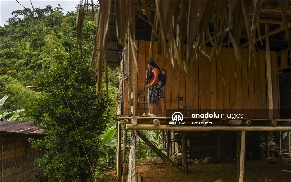 Kolombiya’nın Risaralda bölgesindeki Embera Chami ve Embera Katio yerlileri