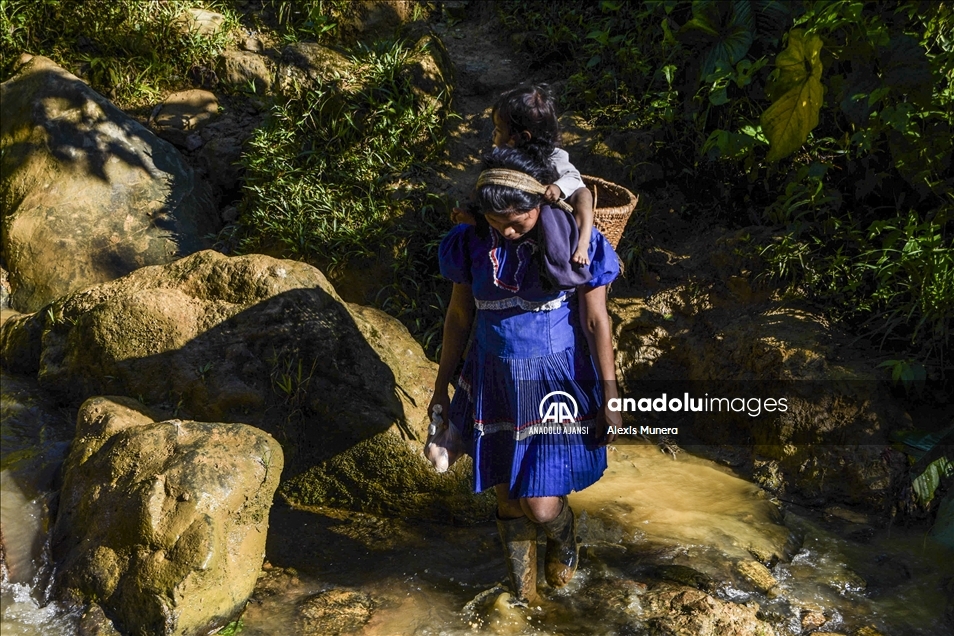 Kolombiya’nın Risaralda bölgesindeki Embera Chami ve Embera Katio yerlileri