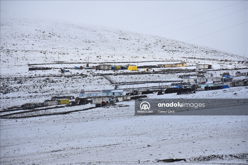 Kars'ta kar yağışı besicileri hazırlıksız yakaladı